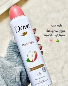 تصویر اسپری اینویزیبل ۱۵۰میل داو Dove Aerosol Invisible dry 150ml