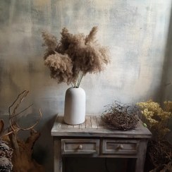 تصویر شاخه ی گلخشک پامپاس دودی Smoky pampas grass