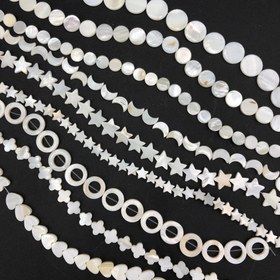 تصویر مهره صدفی ریسه ای 