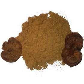 تصویر پودر قارچ گانودرما قرمز (50 گرمی) Red Ganoderma mushroom powder (50 grams)