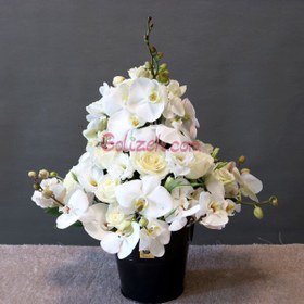 تصویر باکس گل ترحیم ارکیده 