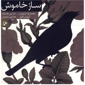 تصویر ساز خاموش 