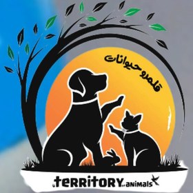 تصویر توپ تعادل گربه 