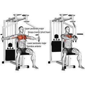 تصویر فلای سینه دو کاره LS188 ls188 dual chest fly