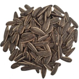 تصویر تخمه آفتابگردان نمکی 