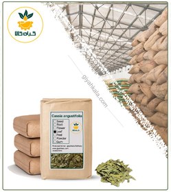 تصویر سنا سوزنی خشک فله 