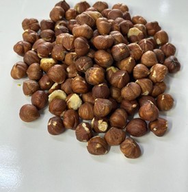 تصویر مغز فندق 