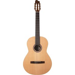 تصویر گیتار کلاسیک گودین Guitar Godin Presentation 