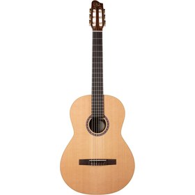 تصویر گیتار کلاسیک گودین Guitar Godin Presentation 