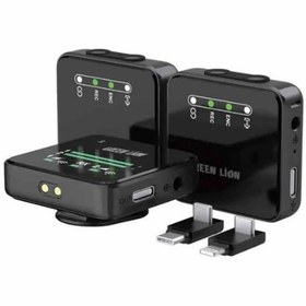 تصویر میکروفون بی سیم گرین لاین مدل GLM-PROFESSIONAL Wireless Mic Wireless Microphone 2 Users GREEN LION Model GLM - PROFESSIONAL