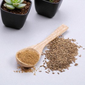 تصویر زیره سبز 