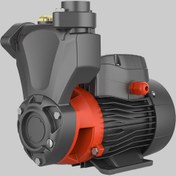 تصویر الکتروپمپ خودمکش مدل APSm75 تک فاز لئو 