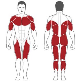 تصویر مقر اسکات استیل فلکس Steel Flex NOPR 