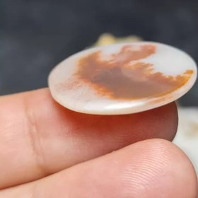 تصویر نگین درشت سنگ طبیعی عقیق شجر اصل معدنی کد 28075 