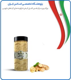 تصویر چاشنی زنجبیل بسته بندی 