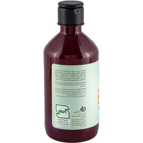 تصویر شامپو موهای چرب حاوی عصاره گزنه انلیل 400 میلی لیتر Enlil Sebum Reducing Shampoo for Greasy Hair 400 ml