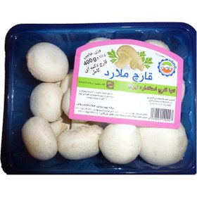 تصویر قارچ کامل ملارد 