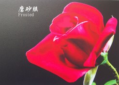 تصویر رول لمینت سرد براق 21 سانت 