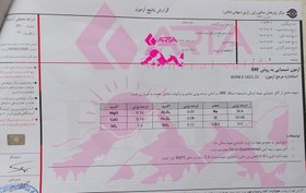 تصویر نمک صورتی 1کیلوو نیم آرتا سایز نمک پاش دارای 84ماده معدنی مورد نیاز بدنت 