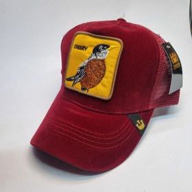 تصویر کلاه گورین پشت تور 