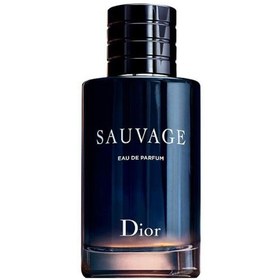 Sauvage Dior Sauvage Eau de Parfum