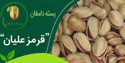 تصویر پسته قرمز علیان دامغان 