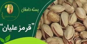 تصویر پسته قرمز علیان دامغان 