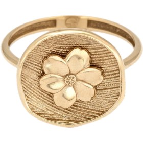 تصویر انگشتر سکه بهار 