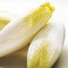 تصویر بذر کاسنی کاهویی 50 عددی 