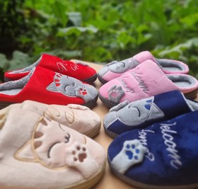 تصویر پاپوش 