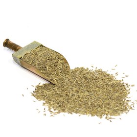 تصویر زیره سبز بومی 