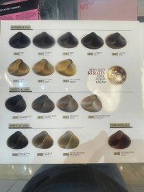 تصویر رنگ مو رنوال (بدون آمونیاک) سری اسموکی Blue Smoky 