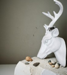 تصویر دیوارکوب گوزن ، رزین پلی استر Resin deer wallhanging