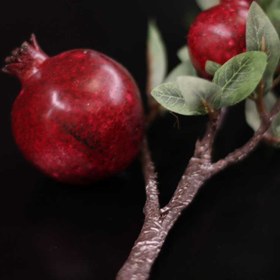 تصویر شاخه انار قرمز 