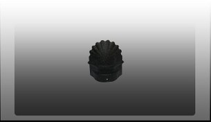 تصویر سرپنجه پرچین مشکی چروک 