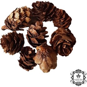 تصویر کاج خشک شده ریز 