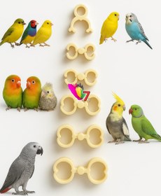 تصویر آتل پای پرنده 