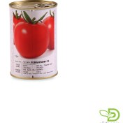 تصویر بذر گوجه فرنگی فرگوسن FERGUSEN F1