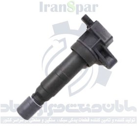 تصویر کوئل آزرا 2008 