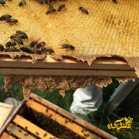 تصویر بره موم ۱۰۰ گرم 