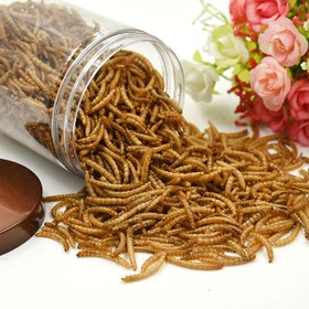 تصویر کرم میل ورم 