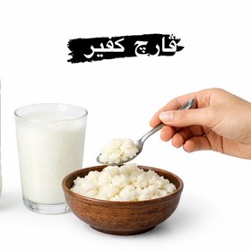 تصویر قارچ کفیر زنده 