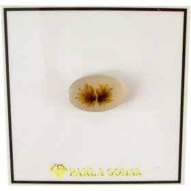 تصویر سنگ شجر پارلا گوهر کد 5133 