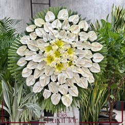 تصویر تاج گل ترحیم آنتوریوم و رز سفید کد 2031 