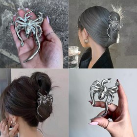 تصویر کلیپس عنکبوت نقره ای 