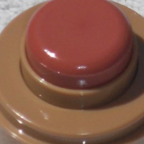 تصویر رژ گونه استیکی برند رود Rhode Pocket Blush