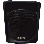 تصویر اکو همراه برین مدل 12200 سایز ۱۲ اینچ 