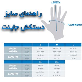 تصویر دستکش دوچرخه سواری طرح جاینت آبی 