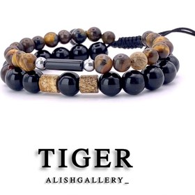 تصویر ببر TIGER