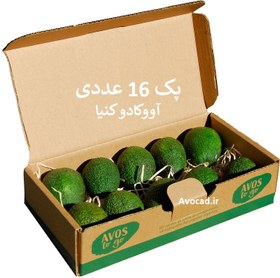 تصویر آووکادو کنیا خارجی وارداتی درجه ۱ – پک ۱۶ عددی 
